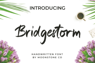 Bridgestorm: A Handwritten Font for Modern Web Design