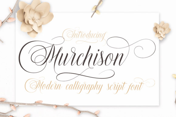 Murchison Font: A Bold Script for Building a Strong Brand