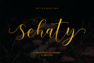 Sehaty: A Premium Font That Elevates Brand Identity